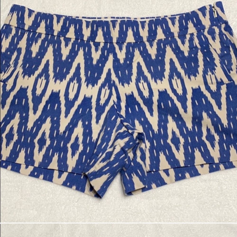 💚J Crew shorts